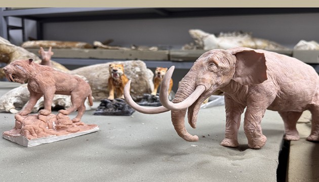 Kayseri'de bulunan dev hayvan fosillerinin minyatürleri yapılıyor