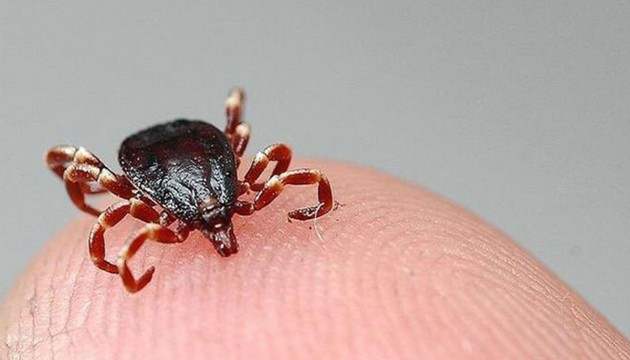 Uzman isimden Kırım Kongo riskine karşı uyarı