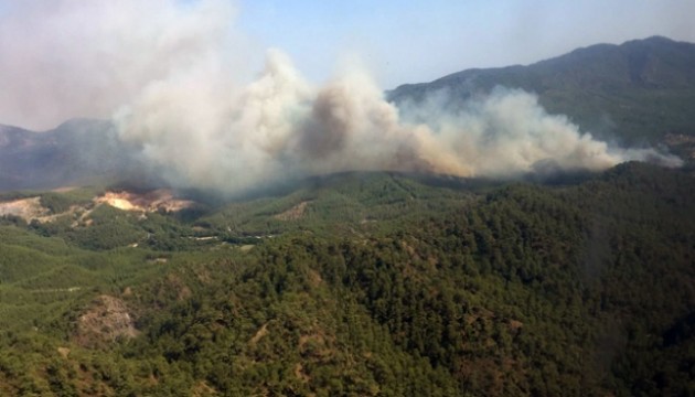 Giresun'da orman yangını!