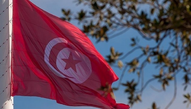 Tunus'ta terör hücresine operasyon