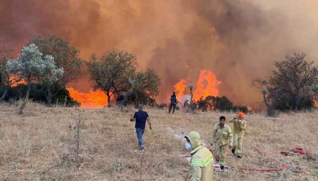 Didim'de makilik alanda yangın