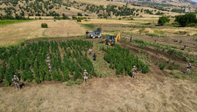 Diyarbakır'da yasa dışı kenevir operasyonu