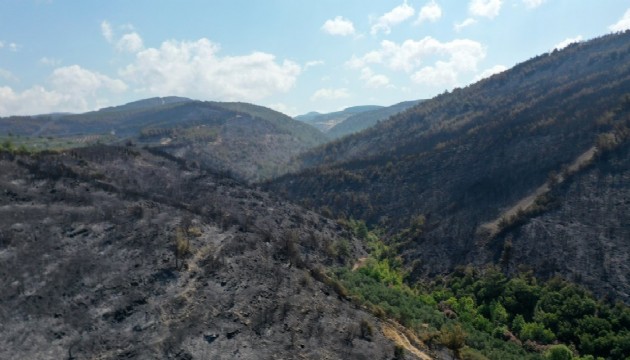 Manisa'da orman yangını şüphelisi tutuklandı