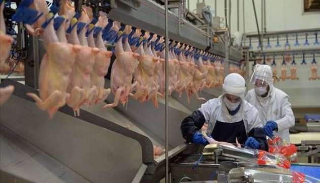 Düğünde tavuk döner ve pilav yiyen 106 kişi hastanelik oldu