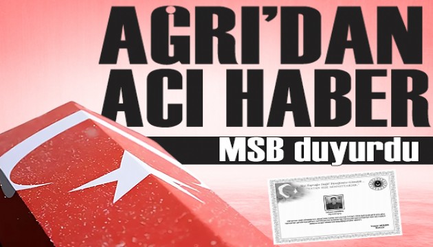 MSB duyurdu: Şehit sayısı 2'ye yükseldi
