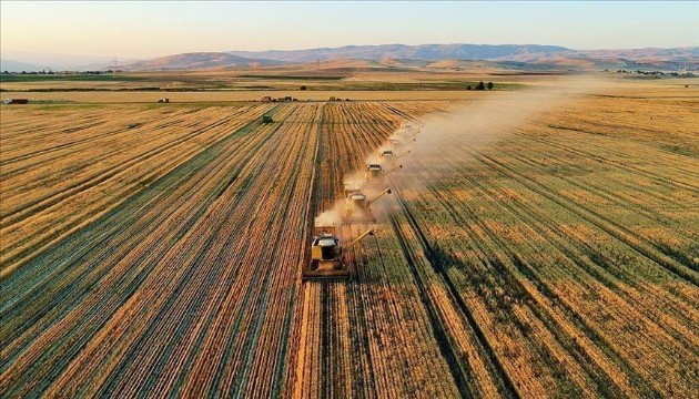 TÜİK açıkladı: Yüzde 5,8 arttı