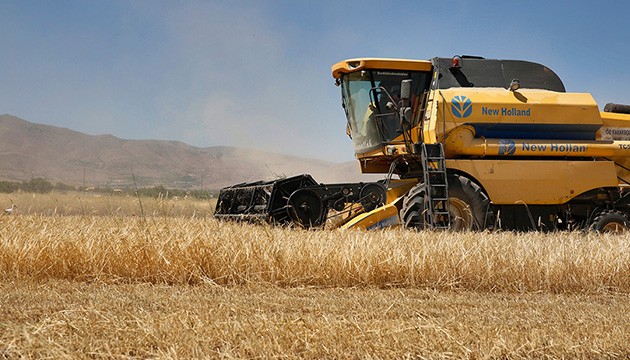 Buğdayda verim iki katına çıktı