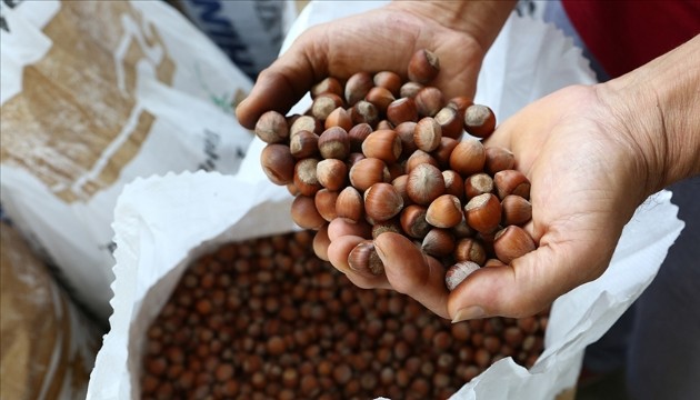 Fındık 124 ülkede alıcı buldu