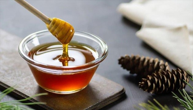 9 aylık bal ihracatı belli oldu
