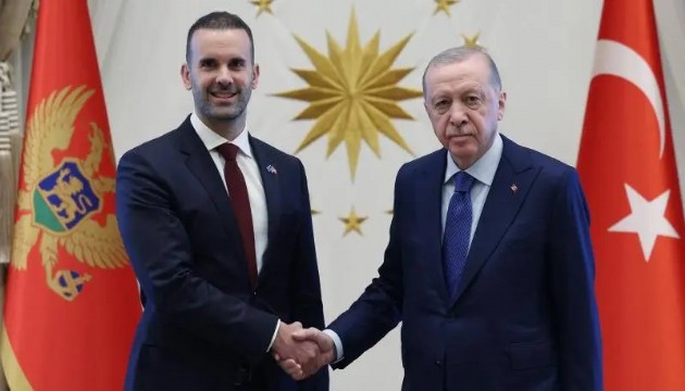 Erdoğan, Karadağ Başbakanını kabul etti