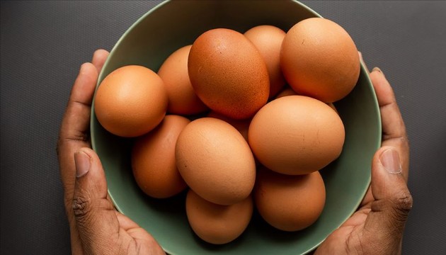 Yumurta ihracatında önlem