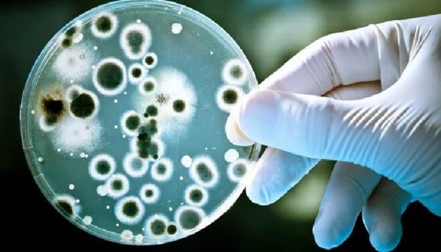 Çin dünyası yeni bir mikrop keşfetti