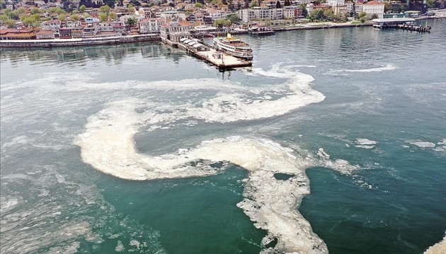 Marmara Denizi'nin kabusu döndü!