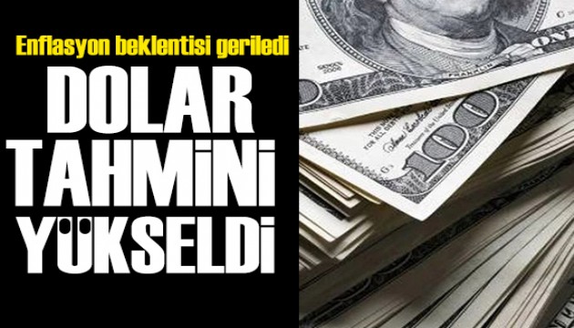 Hanehalkı anketi belli oldu: Dolar tahmini arttı