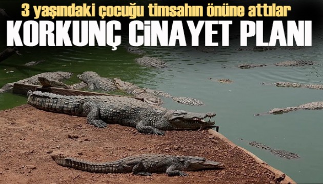 Hayvanat bahçesinde cinayet planı:  3 yaşındaki çocuğu timsahın önüne attılar