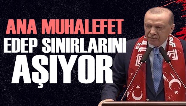 Erdoğan: Ana Muhalefet edep sınırlarını aşıyor