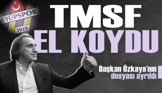 TMSF Eyüpspor dahil 9 şirkete el koydu