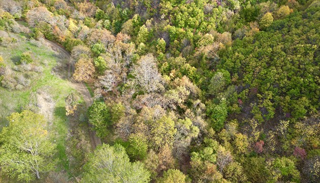 Ganos Dağı eteklerinde renk cümbüşü