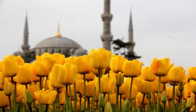 İstanbul'da Lale Bayramı festivali