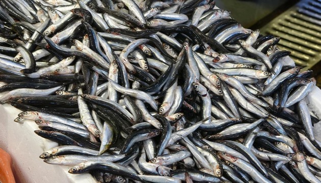 Hamsinin kilogramı 150 ile 200 lira arasında satışa sunuluyor
