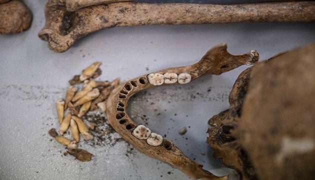 Çayönü Tepesi'nde DNA çalışması