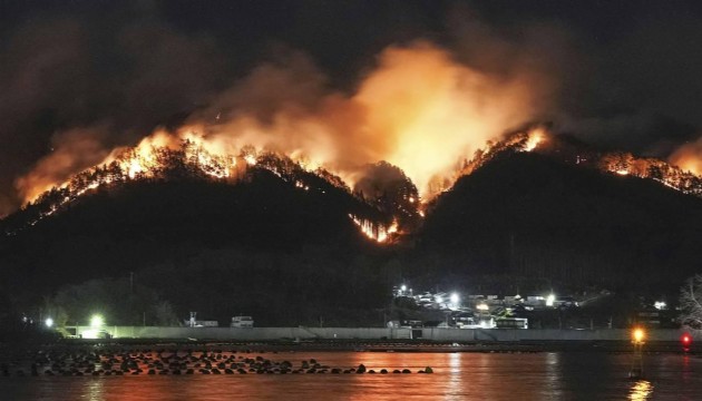 Japonya'daki orman yangınında yaklaşık 2 bin 100 hektarlık alan küle döndü