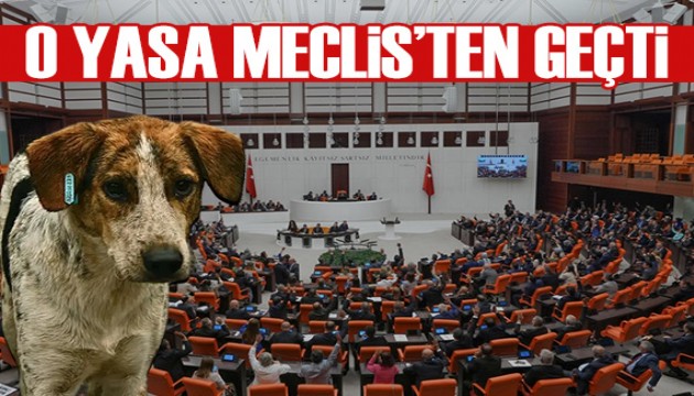 Sokak hayvanlarıyla ilgili yasa teklifi TBMM'den geçti