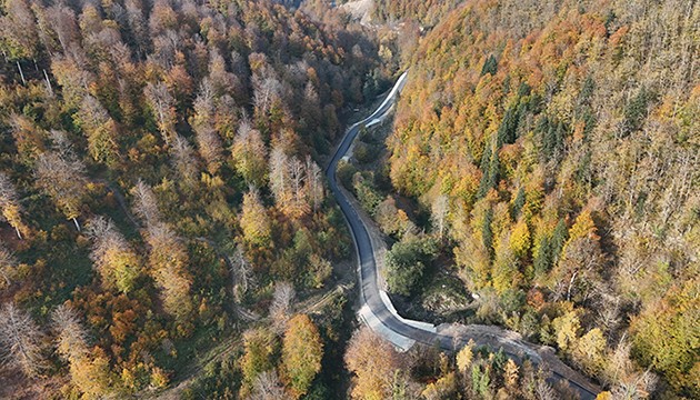 Sinop'ta görsel şölen