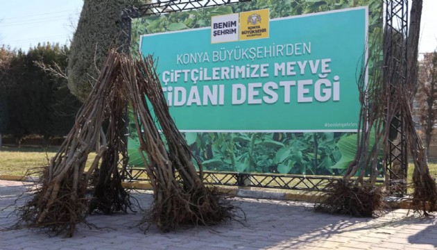 Çiftçilere meyve fidanı desteği