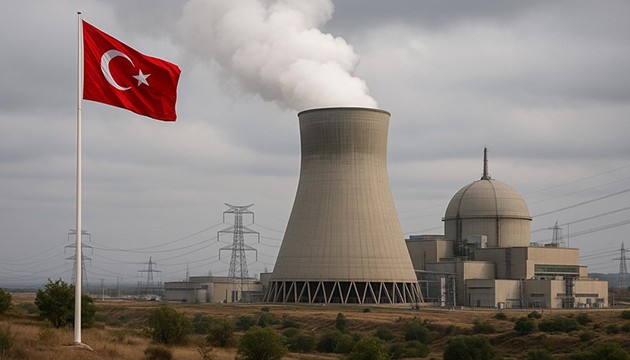 Yerli reaktör geliştirme çağrısı