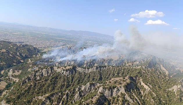 Manisa'da orman yangını