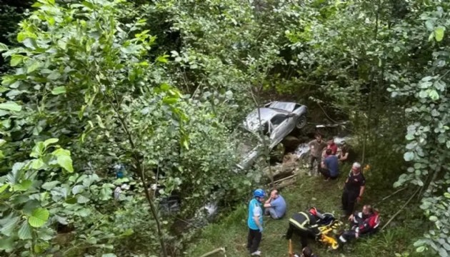 Kamyonet fındık bahçesine yuvarlandı