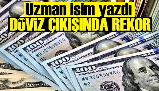 Naki Bakır yazdı: Kaynağı belirsiz döviz çıkışında rekor