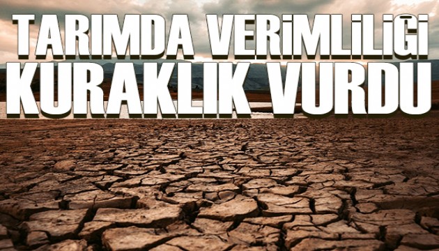 Naki Bakır yazdı: Tarımda verimliliği kuraklık vurdu