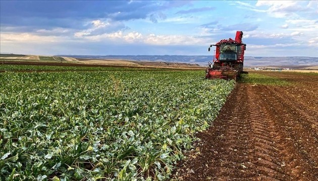 5,6 milyar lira destek ödemesi başlıyor