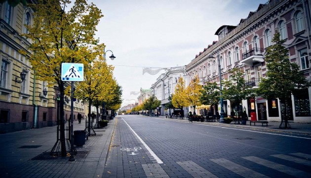 Litvanya'da Rus plakalı araçların kullanımını yasaklandı