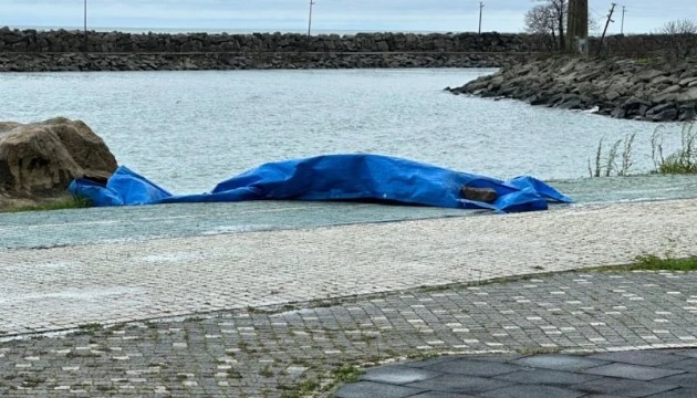 Sahilde otonom araç bulundu