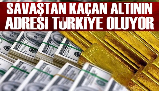 Yalçın Bayer yazdı: Savaştan kaçan altının adresi Türkiye