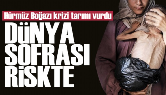 Hürmüz Boğazı krizi: Küresel gıda alarmı
